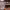 https://res.cloudinary.com/billionhands/image/upload/v1781057427/items/gfllqcwmvtxi4jyaiuai.jpg-1cover