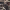 https://res.cloudinary.com/billionhands/image/upload/v1781057435/items/jf6lxojec7sgawx5nnzx.webp-2cover
