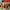 https://res.cloudinary.com/billionhands/image/upload/v1781057604/items/sxrqwtophuqfpu1zicwf.jpg-0cover