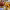 https://res.cloudinary.com/billionhands/image/upload/v1781057940/items/cg5xcwlfxqdubcshrifc.jpg-1cover