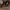 https://res.cloudinary.com/billionhands/image/upload/v1781059283/items/lxxqy8gx143fargblydu.jpg-3cover