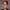 https://res.cloudinary.com/billionhands/image/upload/v1781059423/items/kadkf6npdyhbvp8x7jam.jpg-2cover