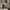 https://res.cloudinary.com/billionhands/image/upload/v1781059670/items/eddtiemmntz9wylt4ejg.webp-0cover