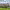 https://res.cloudinary.com/billionhands/image/upload/v1781060494/items/mbfggc6zmtl4pakdysmb.webp-2cover