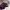 https://res.cloudinary.com/billionhands/image/upload/v1781060546/items/mgbvwhwjikpzfdxpmr4j.webp-0cover