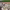 https://res.cloudinary.com/billionhands/image/upload/v1781060890/items/hgzcswlg3oqfzfgf369k.jpg-0cover