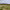 Erin Hills cover