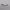https://res.cloudinary.com/billionhands/image/upload/v1781063067/items/wbtblrrsklzvssgl1oar.webp-3cover