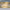 https://res.cloudinary.com/billionhands/image/upload/v1781065727/items/mz1nlqvxpar2ao5ofk1b.webp-1cover