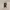 https://res.cloudinary.com/billionhands/image/upload/v1781066848/items/v41jphdjdwesm4gmltbm.jpg-0cover