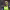 https://res.cloudinary.com/billionhands/image/upload/v1781067891/items/hgiuojkyh26cmkb27iox.jpg-2cover