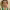 https://res.cloudinary.com/billionhands/image/upload/v1781067897/items/age6hgyyynzs6ivhmiuw.jpg-3cover