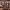 https://res.cloudinary.com/billionhands/image/upload/v1781067986/items/apl9czanqad7wu4x1pf1.avif-0cover