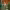 https://res.cloudinary.com/billionhands/image/upload/v1781067993/items/cchsdueatpfopjhbgytl.jpg-2cover