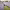 https://res.cloudinary.com/billionhands/image/upload/v1781068101/items/pqnvvloqyobjfqqgdx5w.jpg-2cover