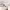 https://res.cloudinary.com/billionhands/image/upload/v1781068109/items/r9lckxruixyyiv507uin.jpg-2cover