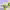 https://res.cloudinary.com/billionhands/image/upload/v1781069305/items/zm2emtbxfltkcruw3nx8.webp-3cover