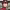 https://res.cloudinary.com/billionhands/image/upload/v1781069714/items/u8kk9sq6sdvebeeclwiz.webp-3cover