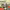 https://res.cloudinary.com/billionhands/image/upload/v1781070095/items/qhx4jr1ftaqp4dvosozx.jpg-1cover