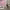 https://res.cloudinary.com/billionhands/image/upload/v1781070631/items/iicjcyru2nxdnviwthpn.webp-2cover