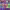https://res.cloudinary.com/billionhands/image/upload/v1781071669/items/ij2pzc4ok6otvibeqdnx.jpg-3cover