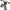 https://res.cloudinary.com/billionhands/image/upload/v1781073737/items/enkhnhxcfkq8scpycchc.webp-0cover