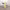 https://res.cloudinary.com/billionhands/image/upload/v1781074043/items/tzicxt9jxnpzxikhipdo.webp-2cover