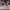https://res.cloudinary.com/billionhands/image/upload/v1781074196/items/arg7oexnqcyrhfrna36k.jpg-1cover