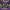 https://res.cloudinary.com/billionhands/image/upload/v1781077829/items/k1jigxza6ftuake6fwmc.webp-2cover