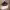 https://res.cloudinary.com/billionhands/image/upload/v1781077853/items/zb5rkmc8kf9kxsqe0x99.webp-3cover
