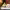 https://res.cloudinary.com/billionhands/image/upload/v1781078780/items/vamauziz0go2gnaswhyf.webp-0cover