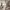 https://res.cloudinary.com/billionhands/image/upload/v1781079596/items/iyd04yz00yqpmtjystug.png-3cover