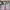 Girlcore cover