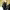 https://res.cloudinary.com/billionhands/image/upload/v1781080196/items/x9sbps8pi4j9c4zufemd.webp-2cover
