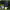 https://res.cloudinary.com/billionhands/image/upload/v1781081007/items/du0d6qqjtsv6rhk2esuk.jpg-1cover