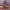 https://res.cloudinary.com/billionhands/image/upload/v1781081014/items/d1zc2wfxjtflp762vxog.webp-1cover