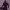 https://res.cloudinary.com/billionhands/image/upload/v1781081015/items/puevkvflneyz8ozmrcn1.webp-3cover