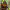 https://res.cloudinary.com/billionhands/image/upload/v1781084668/items/k3se0ufidgjbhgdzbbqj.webp-2cover