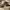 https://res.cloudinary.com/billionhands/image/upload/v1781085765/items/ckwvei582vpvatcj2ndk.webp-2cover