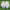 https://res.cloudinary.com/billionhands/image/upload/v1781085887/items/fs1kx7zdshbirew7y1pt.webp-3cover