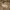 https://res.cloudinary.com/billionhands/image/upload/v1781088043/items/h7a8uyok9y9tucs4jo5h.webp-2cover