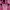 https://res.cloudinary.com/billionhands/image/upload/v1781088562/items/vvseq4jgmsvz2witglgf.jpg-3cover