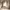 https://res.cloudinary.com/billionhands/image/upload/v1781089107/items/zcws5biufekvjpvu1lmf.jpg-3cover