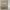 https://res.cloudinary.com/billionhands/image/upload/v1781089108/items/hvz5ilyea5epjntaapse.webp-3cover