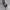 https://res.cloudinary.com/billionhands/image/upload/v1781089201/items/uilee1enfoszbuqh69ue.png-2cover