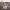 https://res.cloudinary.com/billionhands/image/upload/v1781091214/items/asrw72yyctwocnzxdl5s.jpg-3cover