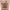 https://res.cloudinary.com/billionhands/image/upload/v1781091543/items/grwpjbwhqpywnueatk5w.jpg-0cover