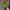 https://res.cloudinary.com/billionhands/image/upload/v1781091927/items/nuwkcolwehwwevwtrbl3.webp-0cover