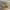 https://res.cloudinary.com/billionhands/image/upload/v1781092928/items/yj3fvdsmectdjtja7z6f.jpg-0cover