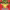 https://res.cloudinary.com/billionhands/image/upload/v1781093383/items/tu9edktubbx2pwmyvwaf.jpg-2cover